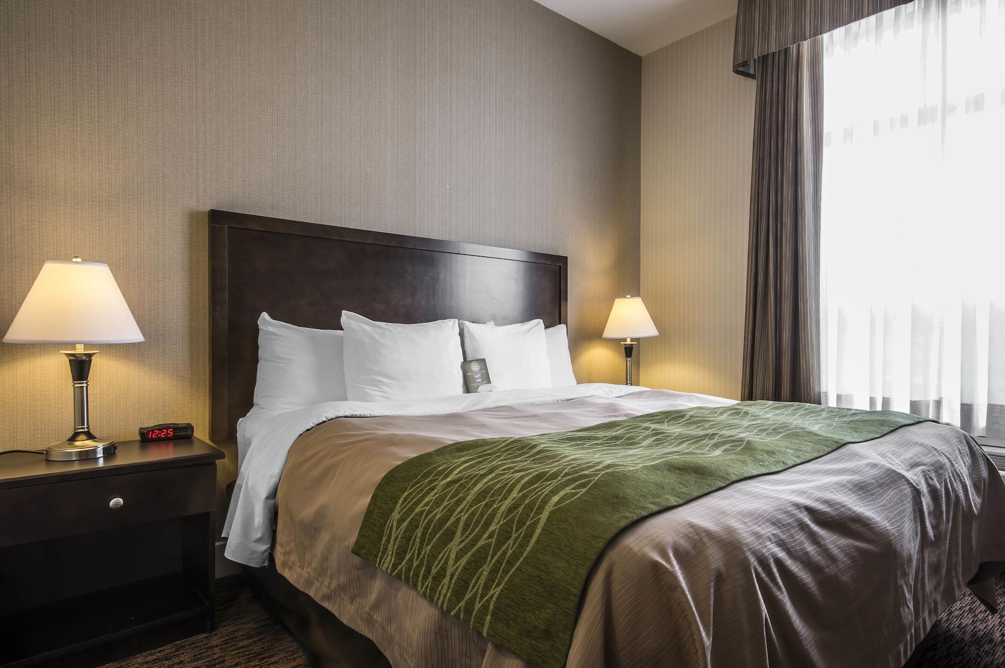 Comfort Inn & Suites Surrey Eksteriør billede