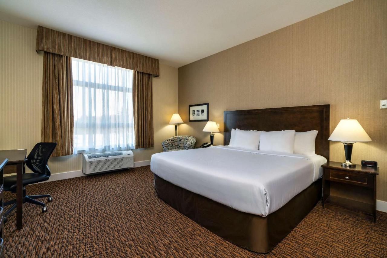 Comfort Inn & Suites Surrey Eksteriør billede